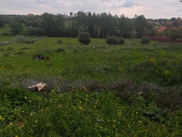 Uitzonderlijke kans in Marrakech. 1 700 m²