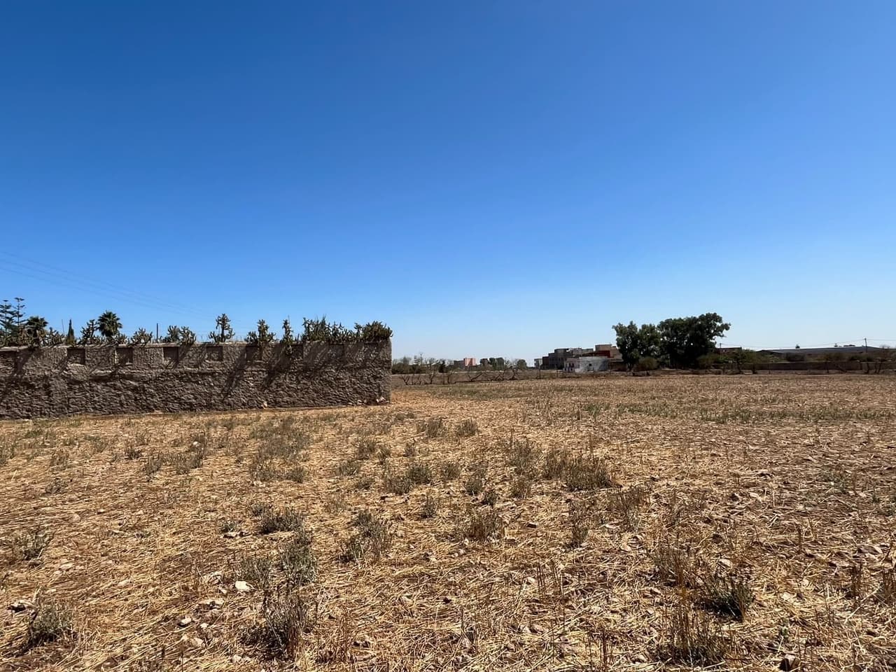 Terreno agrícola de 9660 m² en venta en Dar Bouazza Tamaris2