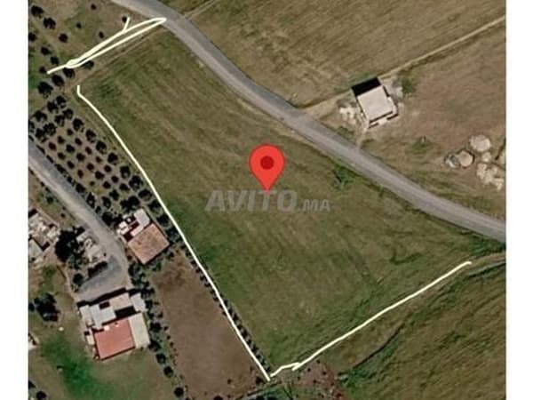 🌿 Terrain agricole à vendre à El Gara 7 000 m²