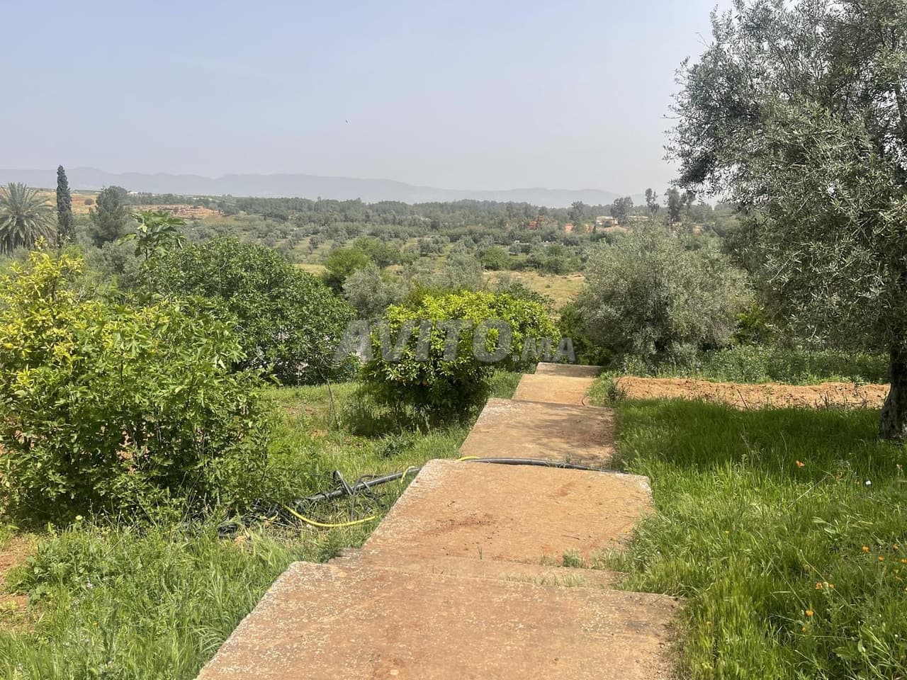 Terreno per villa o progetto a Plaisance 4600 mètri