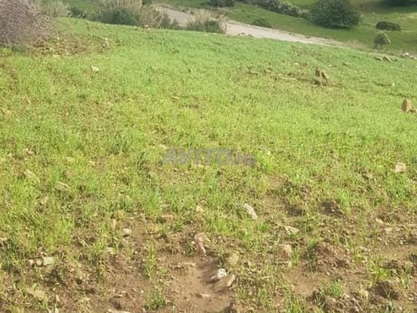 Titled Land for Sale in Tétouan