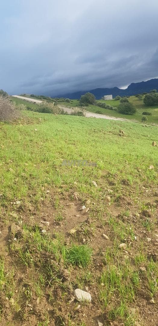 Getitelde Grond te Koop in Tétouan