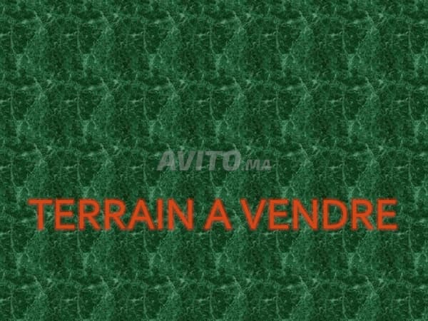 VENTE LOT TERRAIN R1 CHOUKA A ALLIANCE