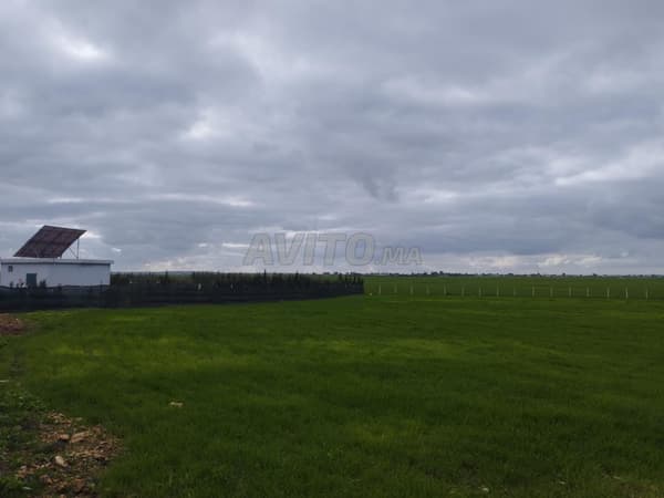 Landwirtschaftliches Grundstück für Farmbetrieb