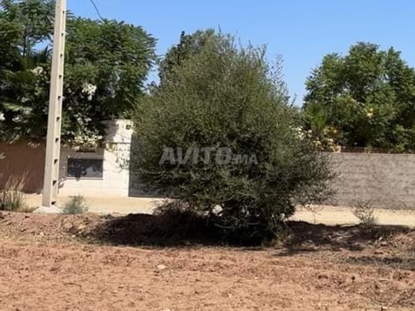 À VENDRE – SUPERBE TERRAIN 1 400 m² | ZONE VILLAS