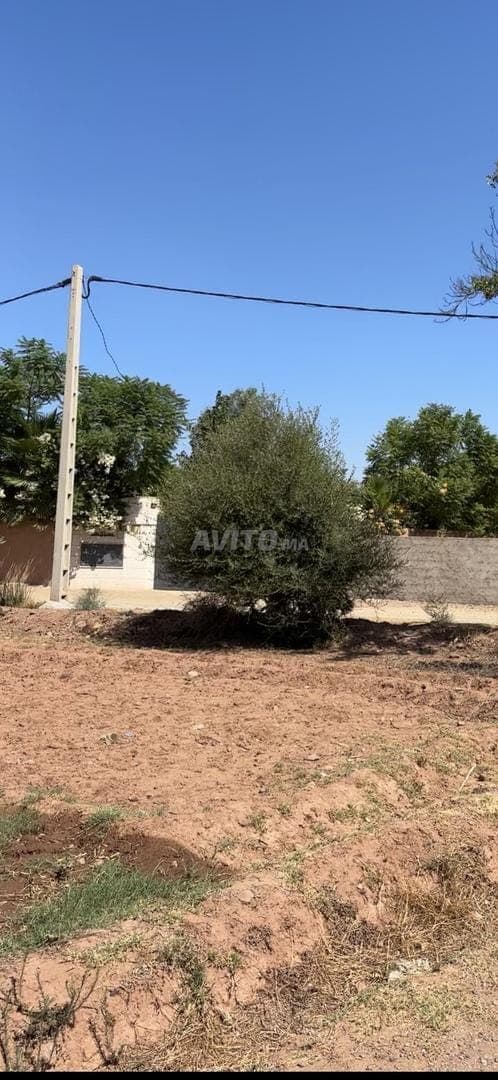 À VENDRE – SUPERBE TERRAIN 1 400 m² | ZONE VILLAS