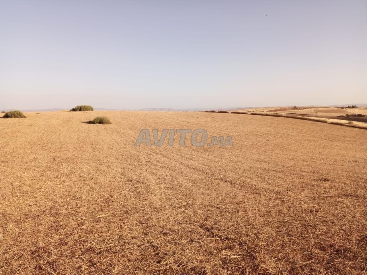 Agricultural land 3ha Tiflet Ait choou