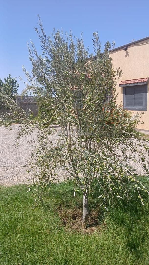 MAISON DE CAMPAGNE à vendre 110 m² à Ben Maachou