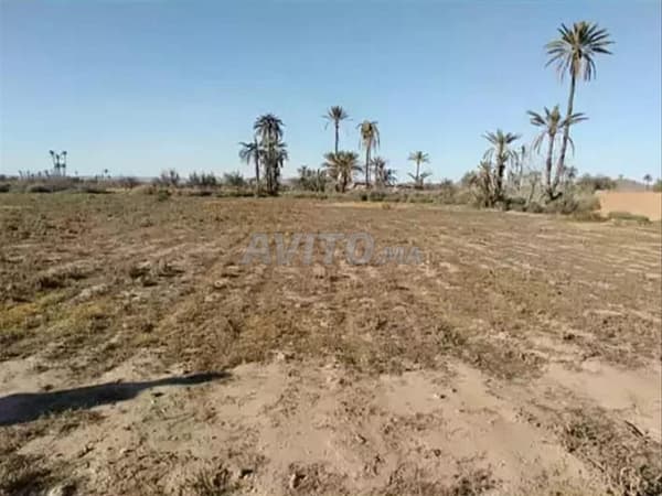 Grundstück 7 200 m² – Freier Blick auf den Atlas