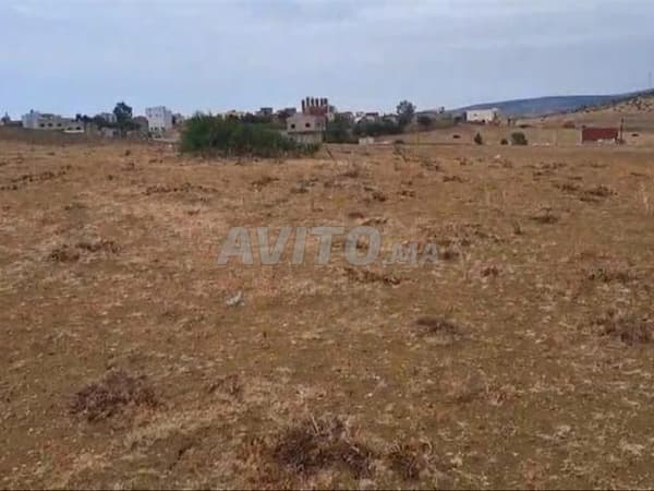 Opportunité immobilière à 16 millions de centimes à Tanger