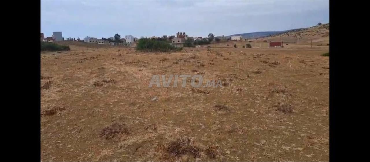 Opportunité immobilière à 16 millions de centimes à Tanger
