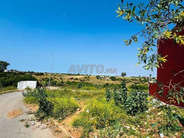 185435-Vente Terrain à Bouznika El Kheir de 316 m²
