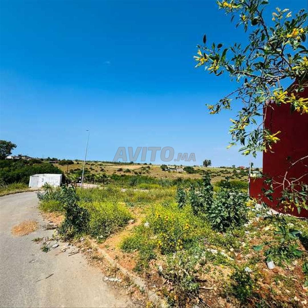 185435-Venta Terreno en Bouznika El Kheir de 316 m²
