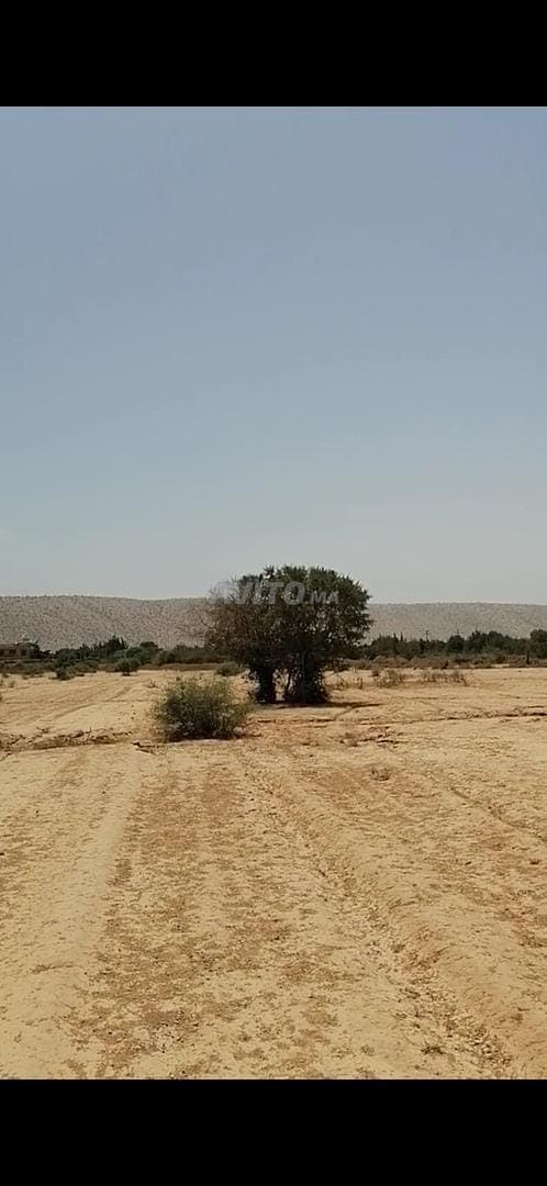 4 hectares 37km Taroudant