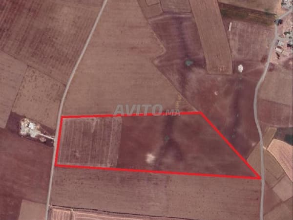 Terrain agricole de 10 hectares à Bouskoura