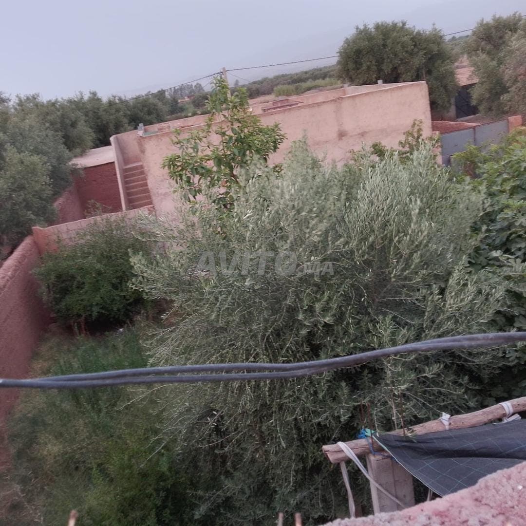 أرض للبيع تمازوت