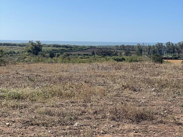 Sea-view plot