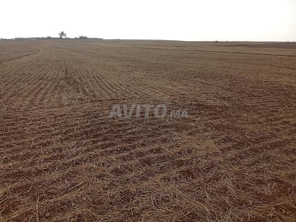 Lot de terrain à vendre, commune de Ryma, Settat, Guisser