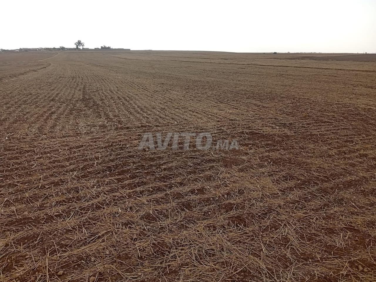 Lote de terreno en venta, comuna de Ryma, Settat, Guisser