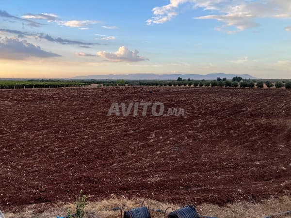 Ferme Agricole sur route