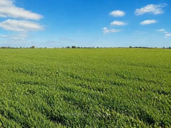 Terrain agricole 1 Hectare Benslimane 1,7MDH