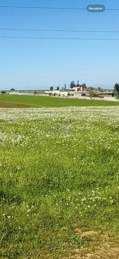 Uitstekende hectare nabij Tiflet op 2 km, Houta, zonder tussenpersoon