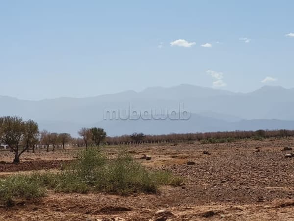 12 hectares titré route ourika km 21 bon prix