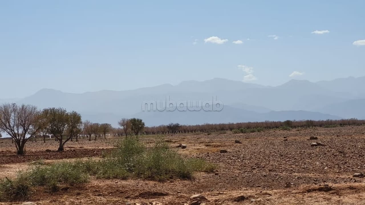 12 hectares titré route ourika km 21 bon prix