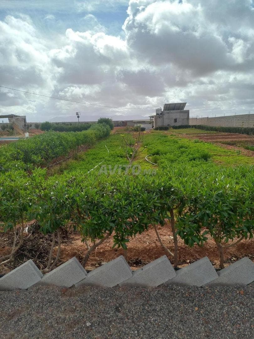 Superbe ferme titrée à vendre à Tiznit