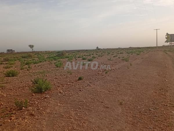 Terrain titre 16km Stade Marrakech