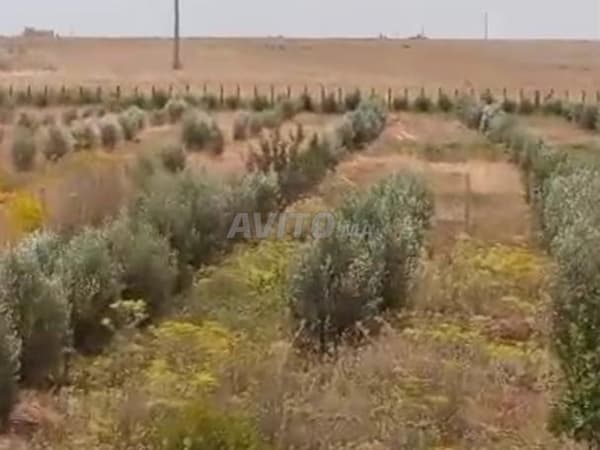 Ferme titrée sur la route de Marrakech