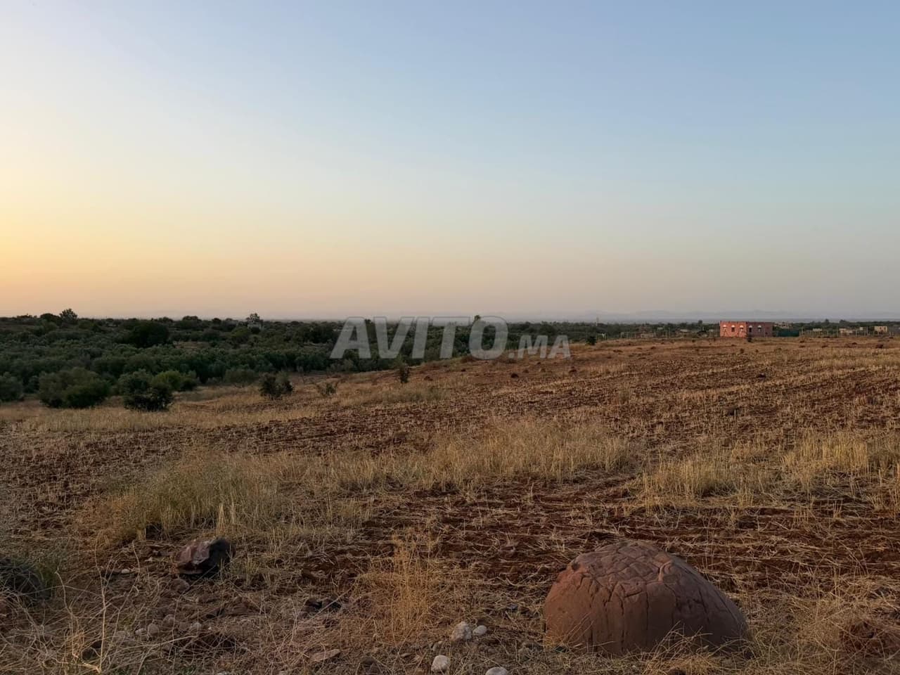 Landbouwgrond 16.000 m² te huur Route de l'Ourika