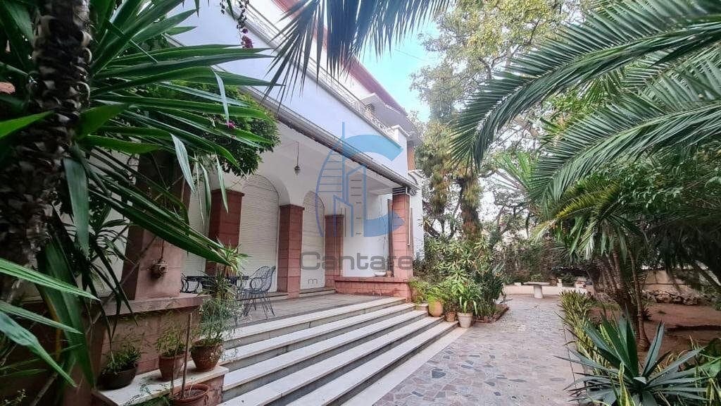 VILLA ART DÉCO D'EXCEPTION À VENDRE PALMIER