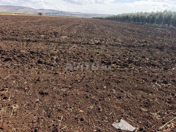 3 hectares à vendre