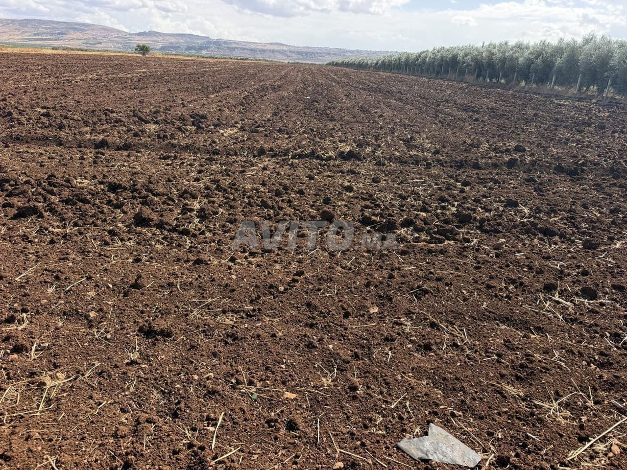3 hectares for sale