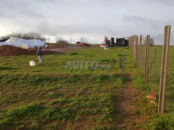 Terre agricole équipée, prix négociable