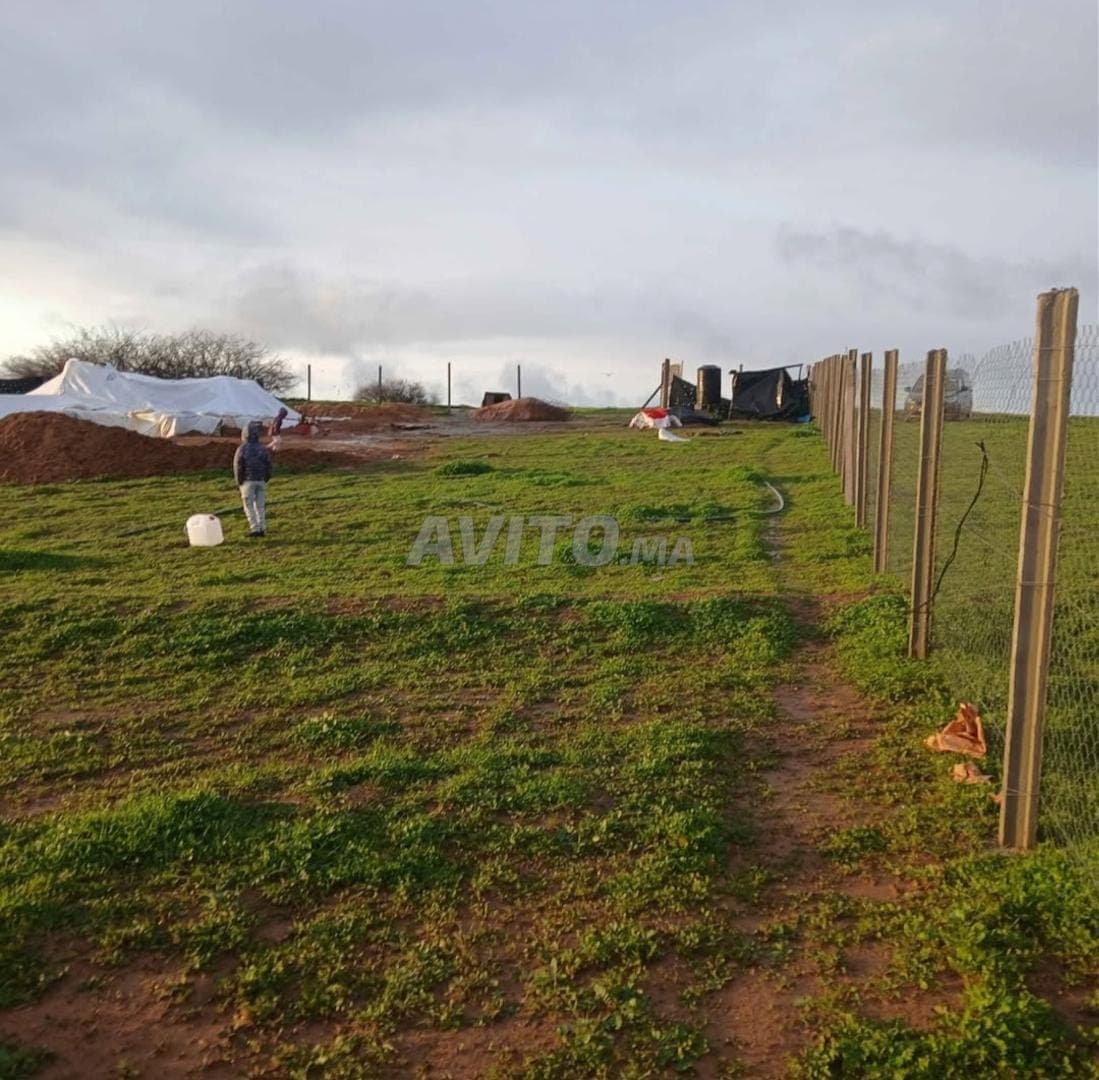 Terre agricole équipée, prix négociable