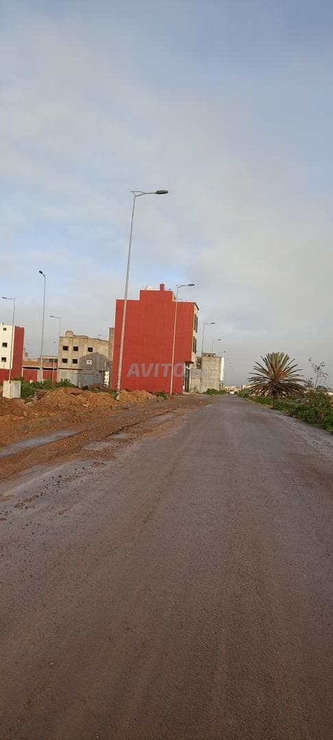 Terrain à vendre Sidi Bennour lot Al Hamd n 61