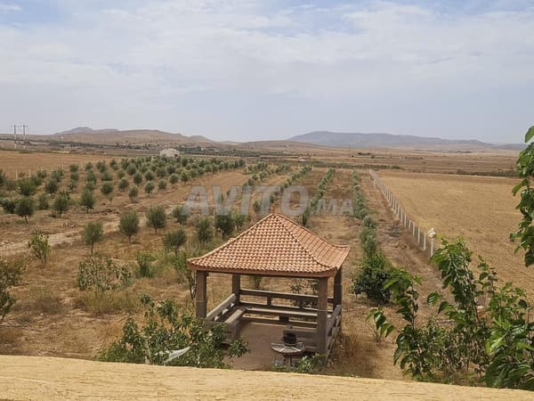 Equipped farm 12500m² next to Marjane Oujda