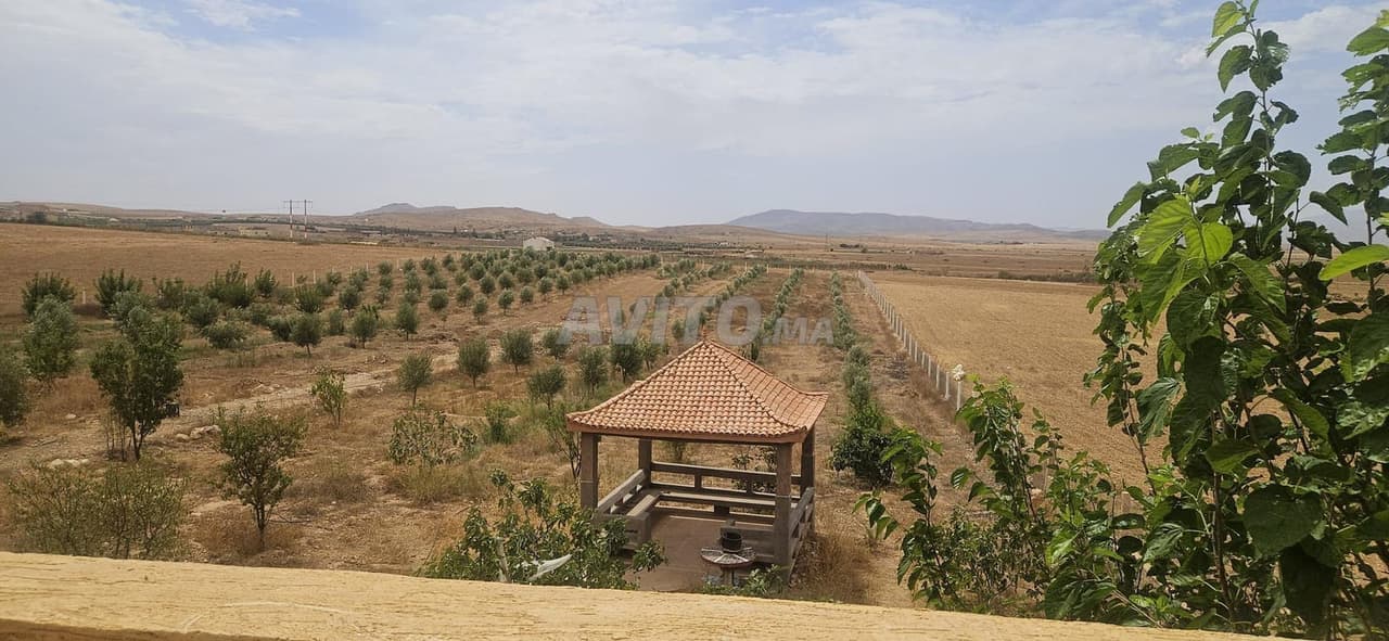 Finca equipada de 12500 m² junto a Marjane Oujda