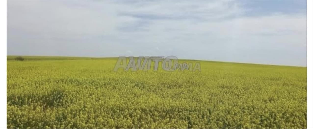 Terreno agrícola en venta