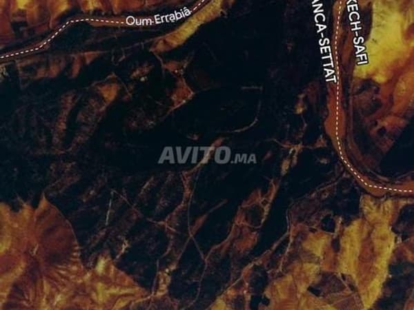 Farm mit 66 Hektar in Settat