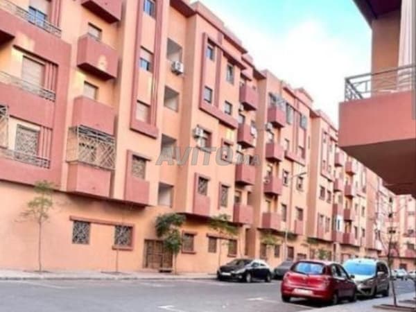 Apartment in Mima 3