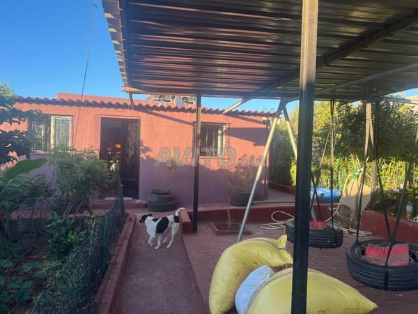 Charmante boerderij 4200 m² in Tnine Chtouka
