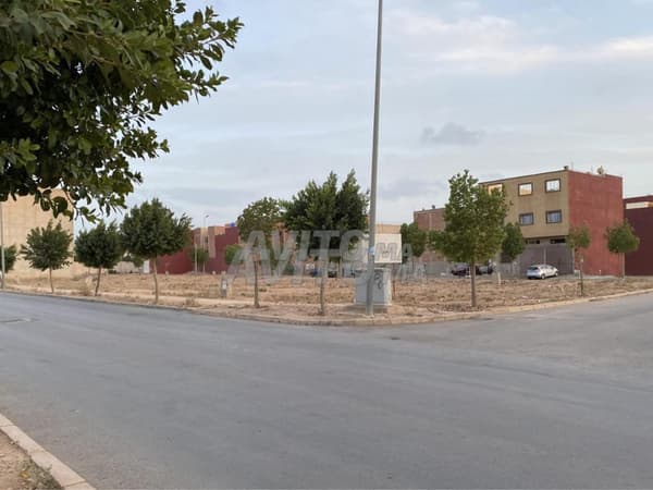 Terrain à vendre prix très raisonnable