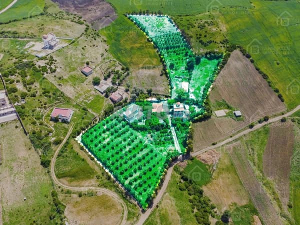 Ferme de 12700m² avec 3 maisons à vendre à Assilah