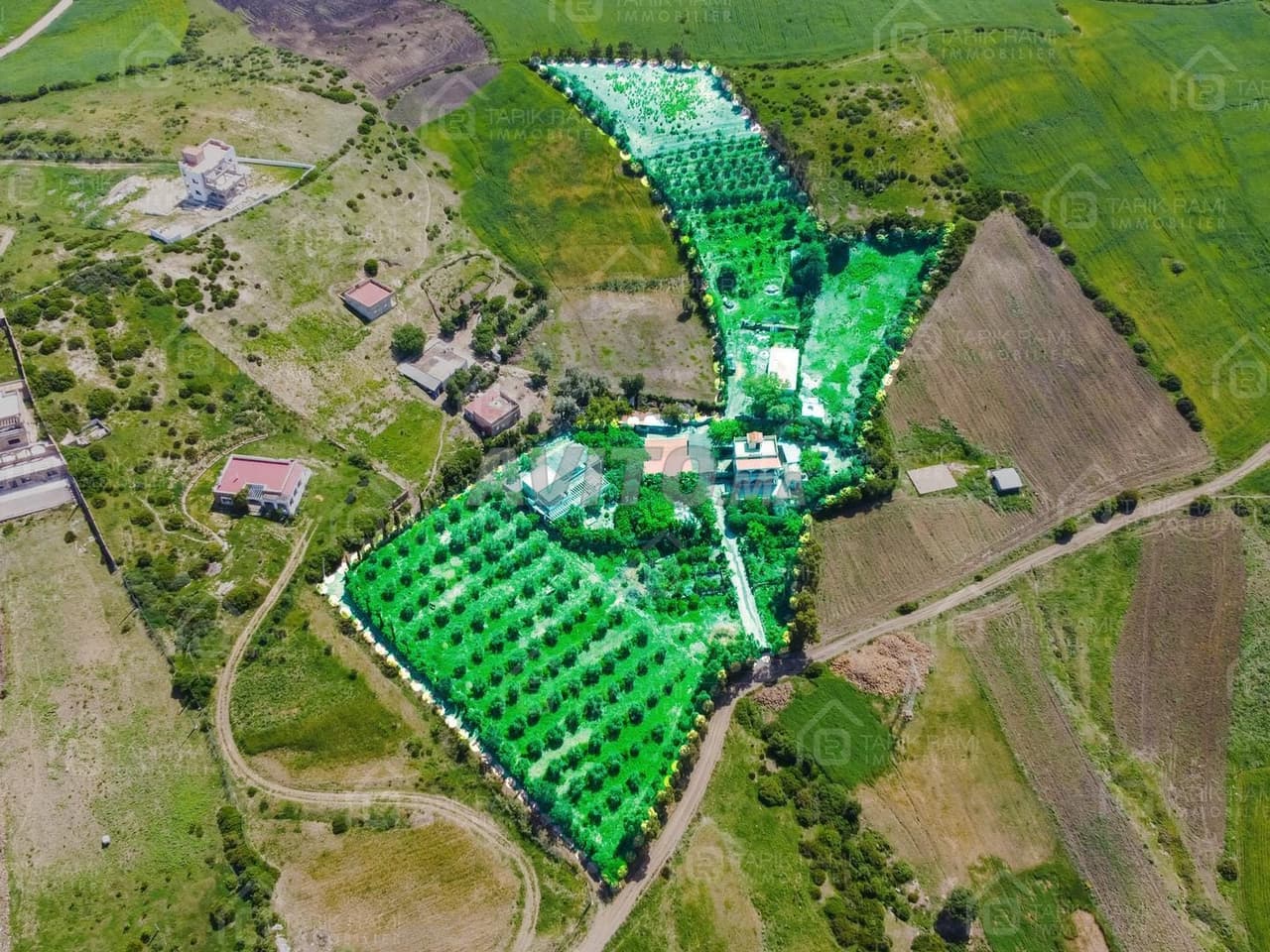 Ferme de 12700m² avec 3 maisons à vendre à Assilah