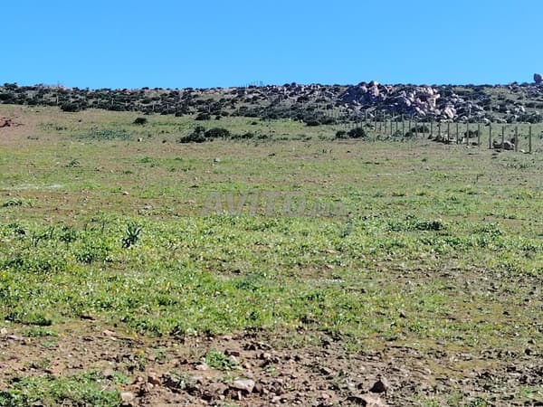 1 ha titrée sur la route à 5 min du c.ville