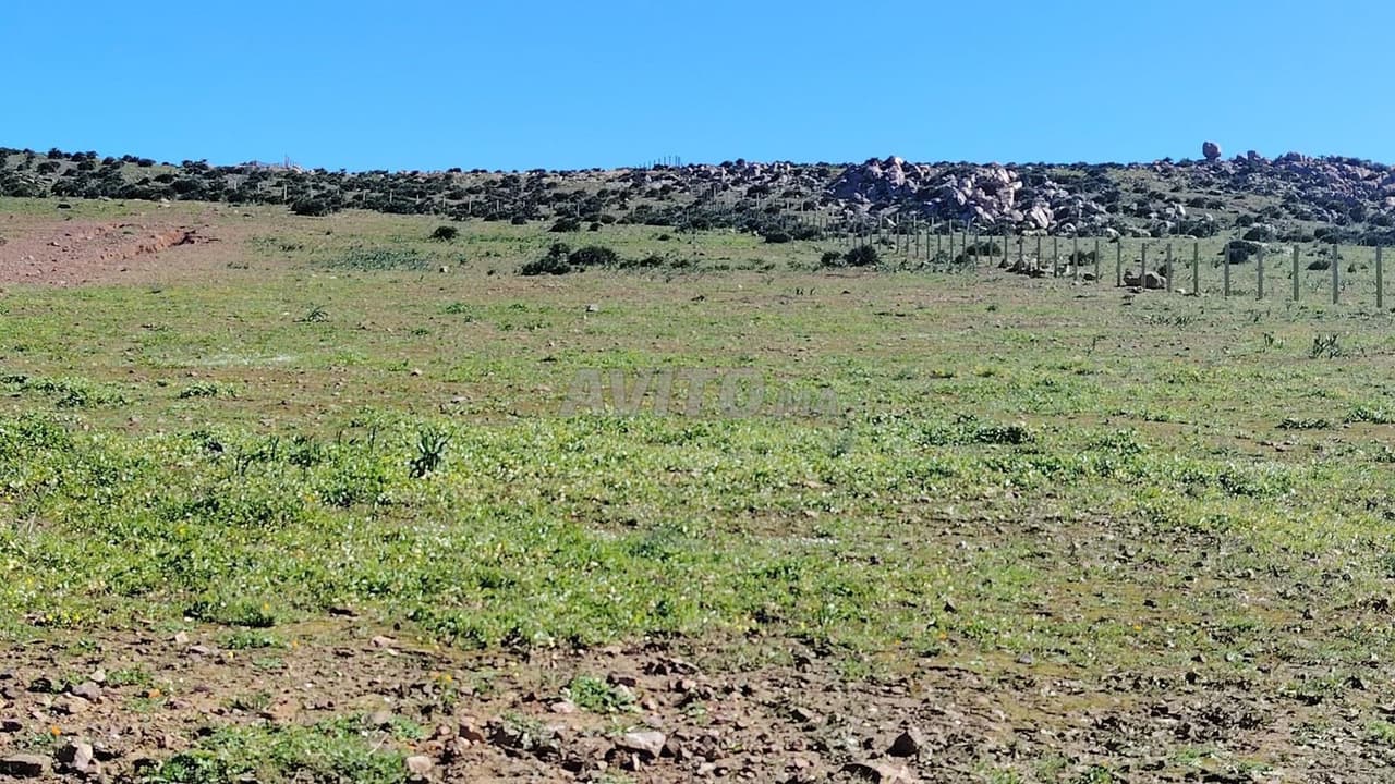 1 ha titrée sur la route à 5 min du c.ville