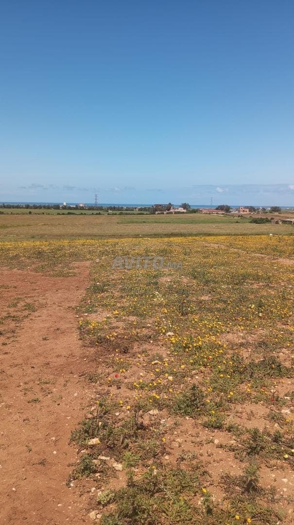 Te koop: perceel met een totale oppervlakte van één hectare